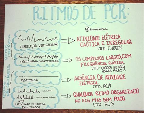 Mapa Mental Pcr By Eduardo De Assis Porn Sex Picture