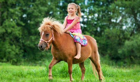 Considerations for Riding Miniature Horses - Helpful Horse Hints