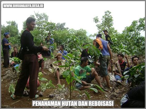 Penanaman Hutan Dan Reboisasi Membangun Kembali Rimbamu Desa Bhuana