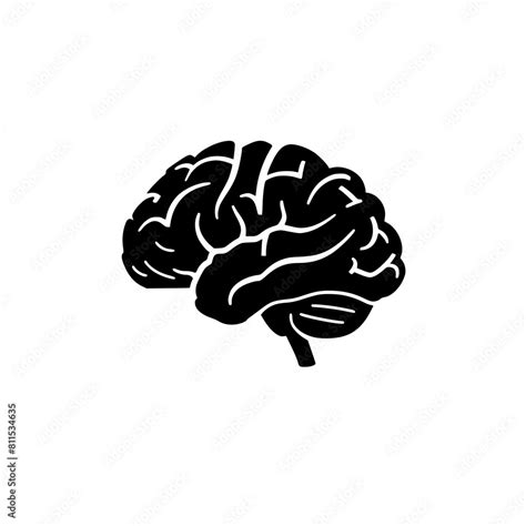Brain Svg Human Brain Svg Brain Png Brain Clipart Mental Health Svg