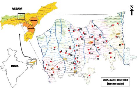 Survey And Documentation Of Anthelmintic Plants Used In Traditional