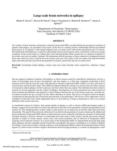 PDF Large Scale Brain Networks In Epilepsy