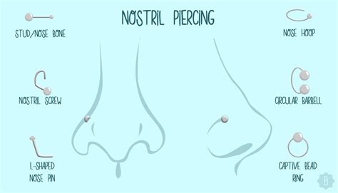 7 Popular Types Of Nose Piercings & Their Corresponding Jewelry Because ...