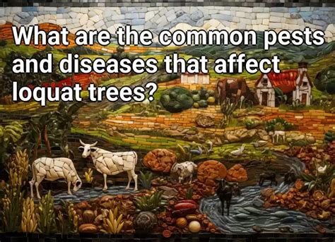 What are the common pests and diseases that affect loquat trees? – Agriculture.Gov.Capital