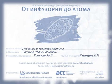 Работа Радика Шарифова | PPT