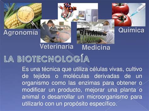 Qué Es La Biotecnología
