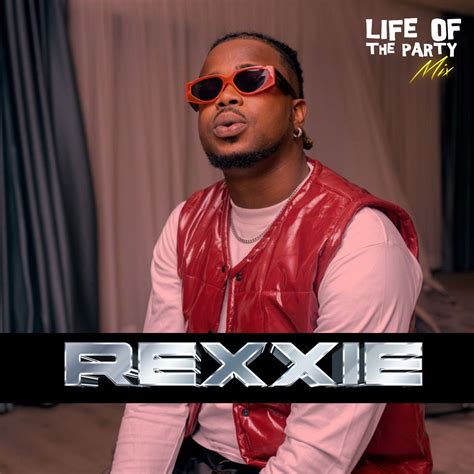 Life Of The Party Mix Rexxie Big Vibe Vol Ii Dj Mix Album By