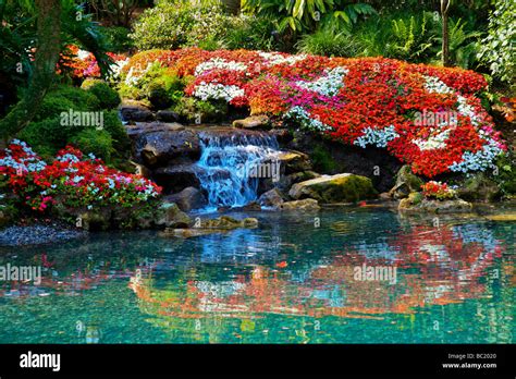 A beautiful flower garden with a waterfall in Tropical Souther Florida, USA, America Stock Photo ...