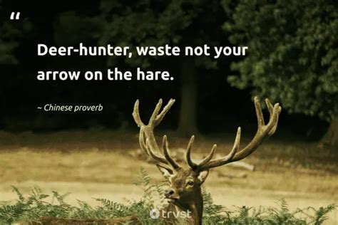 35 Deer Quotes About The Graceful Mammals With Antlers