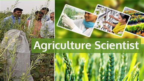 Hindi Government Job Options For Agriculture Science Graduates As