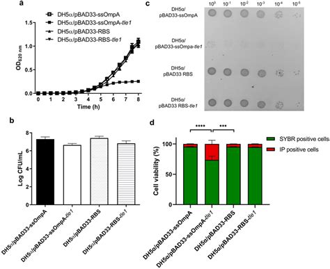 Characterization Of Tle1 Phospholipase Of T6ss I Of Ch1476 A Growth