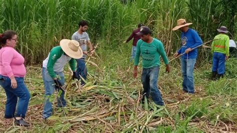 Emater promove Dia de Campo na próxima sexta feira 18 em Morrinhos