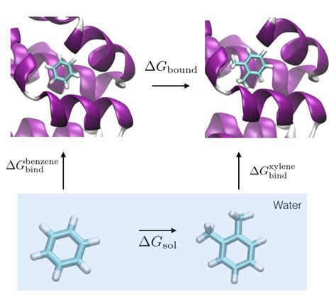 Siremol Org SOMD Free Energy Of Binding Tutorial
