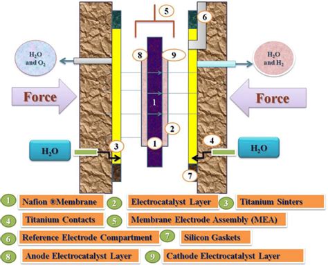 Schematic Diagram Of Electrochemical Experiment Set Up Download