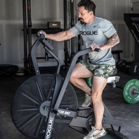 Rogue Echo Bike V30 Bodystack