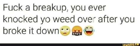 Fuck A Breakup You Ever Knocked Yo Weed Over After You A A Broke It Down Ge IFunny