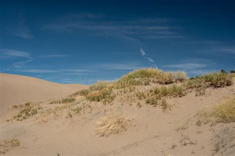 Grasses Grow In Sand Dunes Under Wispy Sky Stock Image Image Of Plant