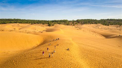 Mui Ne Sand Dunes Vietnam: Review & Tips