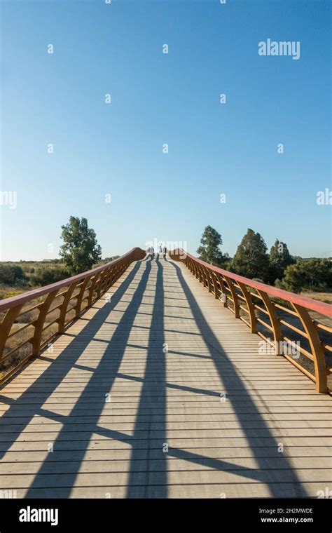 Senda Litoral Wooden Boardwalk Bridge Walkway At Guadalhorce Nature