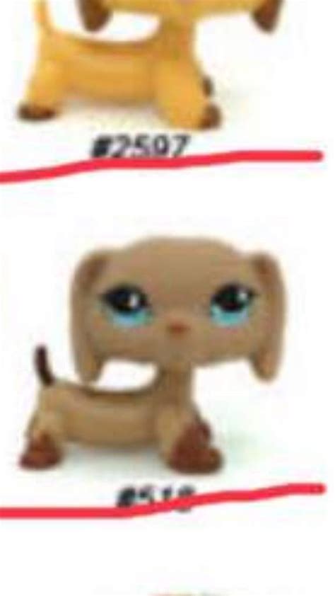 Lps Wishlist Wiki Lps Amino