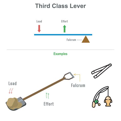 Third class lever with example vector illustration 23452897 Vector Art at Vecteezy