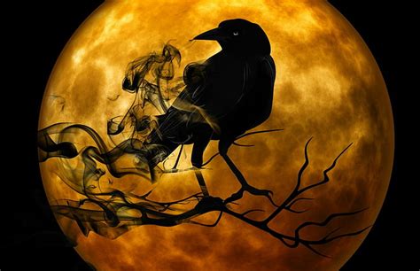 HD wallpaper: creepy, crow, gothic, halloween, moon, night, raven ...