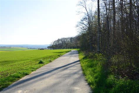 Kostenlose Foto Landschaft Baum Natur Wald Gras Stra E Feld