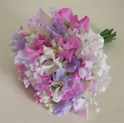 Pink And Purple Sweet Peas Purple Wedding Flowers Flower