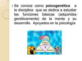 Teor A Psicogen Tica Ppt