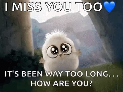 Animated Cute Baby Owl Miss You Too GIF | GIFDB.com