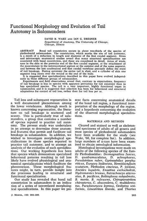 (PDF) Functional morphology and evolution of tail autotomy in salamanders