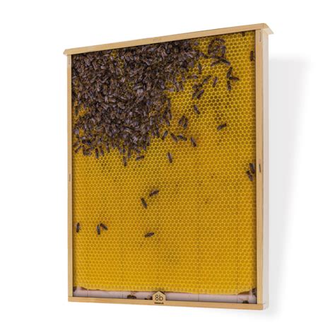 B Cher Infomaterial Bienen Schweiz Online Shop