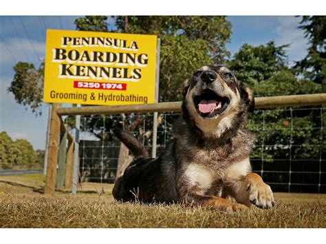 Peninsula Boarding Kennels On 475 Bellarine Hwy Moolap Vic 3221