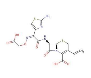 Cefixime CAS 79350 37 1 SCBT Santa Cruz Biotechnology