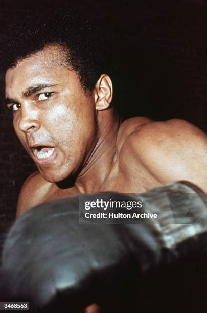 muhammad ali face stock  high res pictures  images