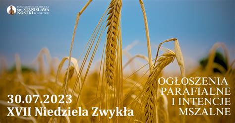 17 Niedziela Zwykła 2023 07 30 Parafia Niskowa