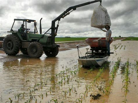 Chuvas excessivas atrasam colheita da soja em Mato Grosso Notícias