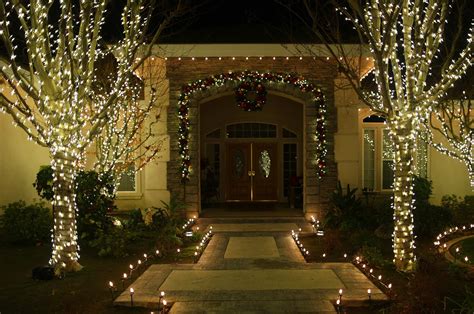 Trees Shrubs Christmas Lights And Decor For Your Trees And Shrubs