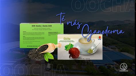 Oocha Dxn T Para Bajar De Peso De Dxn T Semi Fermentado Oolong