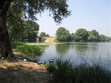 Laghi Di Mantova Proseguono I Lavori Di Consolidamento Delle Sponde