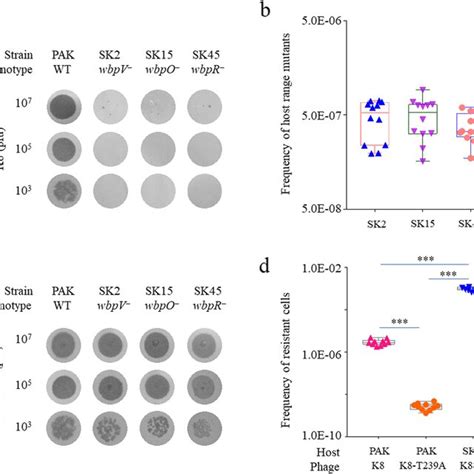 Screening Of Phage Mutants Infecting Osa Loss Cells A Host Range