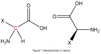 Chirality in Nature: You can only use one of them | Stereochemistry