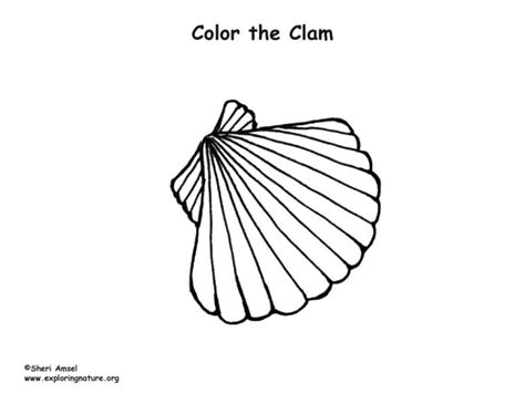 Clam Coloring Nature