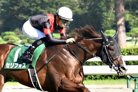 ガイアメンテは武豊とのコンビ継続でgⅡ東スポ杯2歳sへ【次走報】東スポ競馬 Goo ニュース