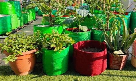 Thriving Greens Maximizing Your Profit With Wholesale Plant Pots