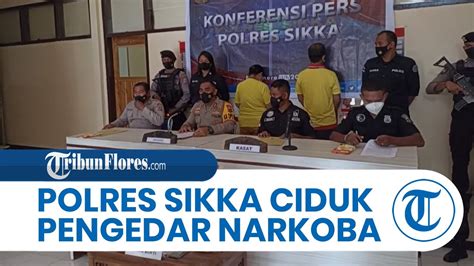 BREAKING NEWS Polres Sikka Ciduk Pengedar Sabu Sabu Disembunyikan