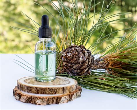 Premium Photo Cedar And Spruce Essential Oil In A Glass Bottle On A