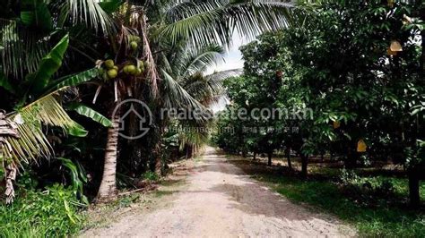 Land For Sale In Chaong Maong Kampong Chhnang For U