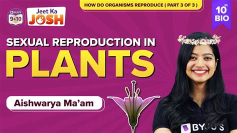 Sexual Reproduction In Plants How Do Organisms Reproduce Class 10