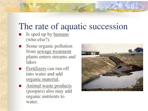 PPT - Aquatic Succession PowerPoint Presentation, free download - ID ...